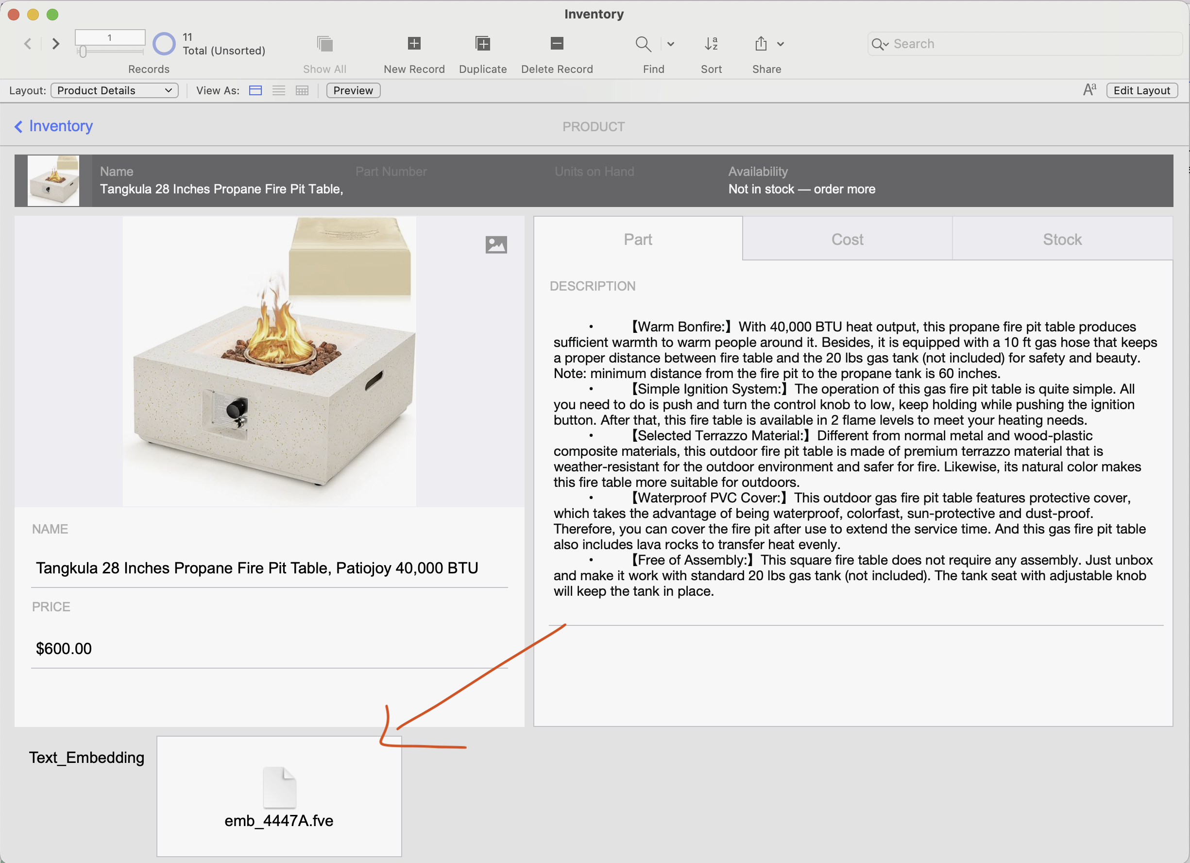 Embedding file inserted into the container